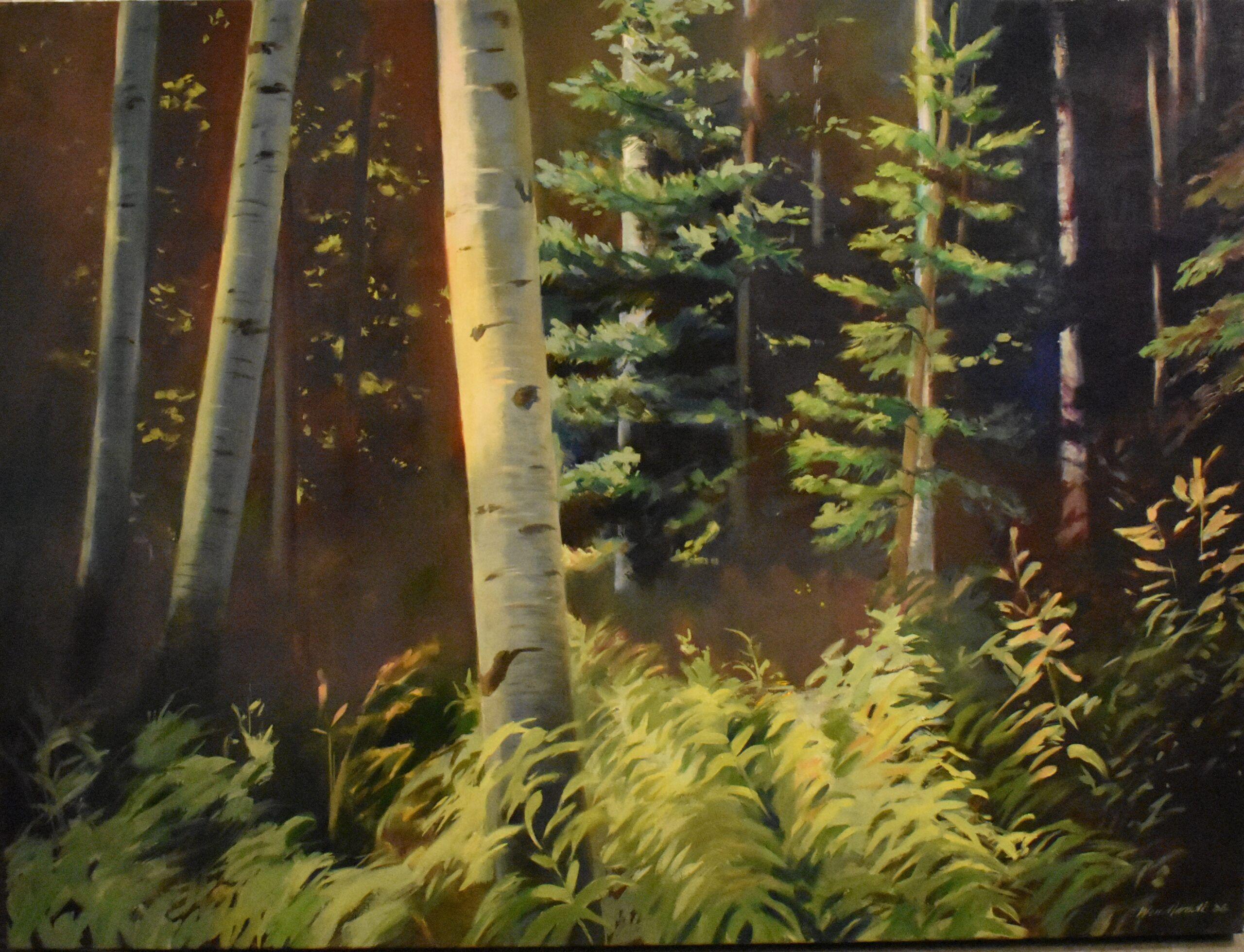 Birch Tree's.jpg