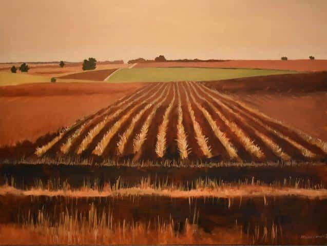 Farm.jpg