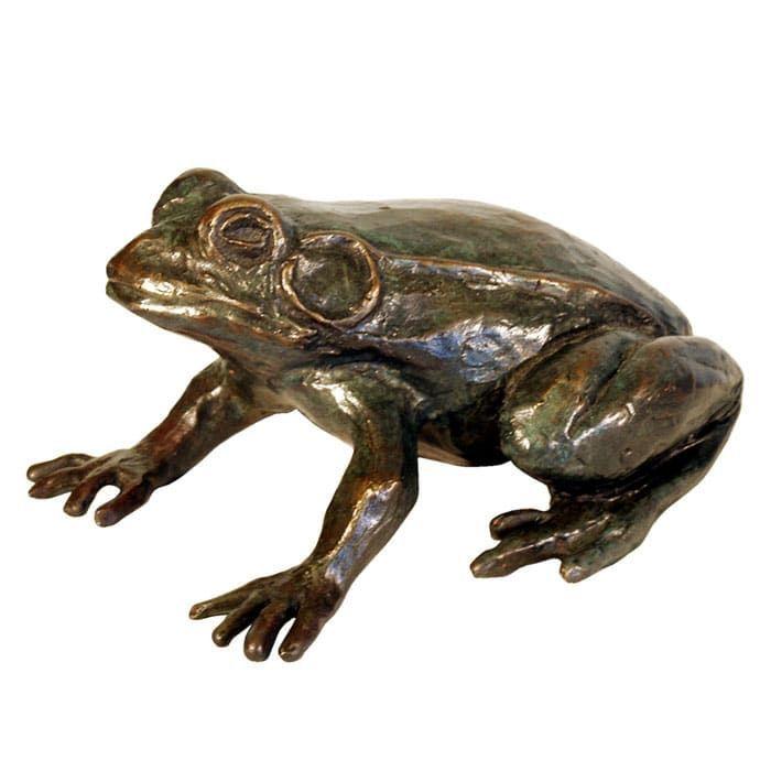 Frog.jpg