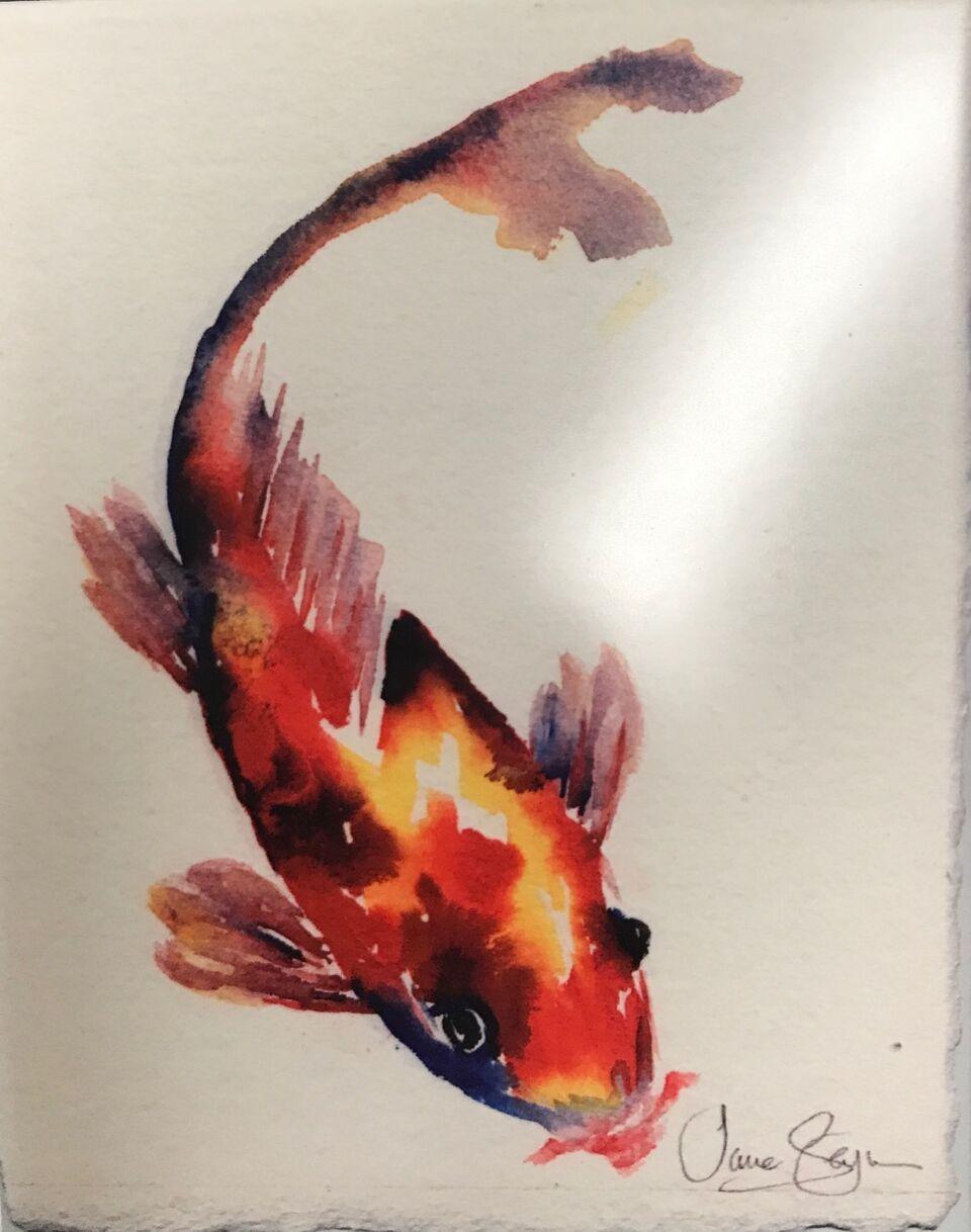 Koi LX..jpg