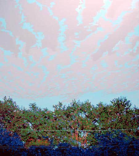 Late Afternoon.jpg