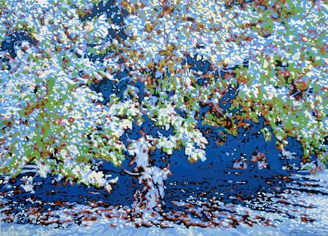Maple Afternoon.jpg
