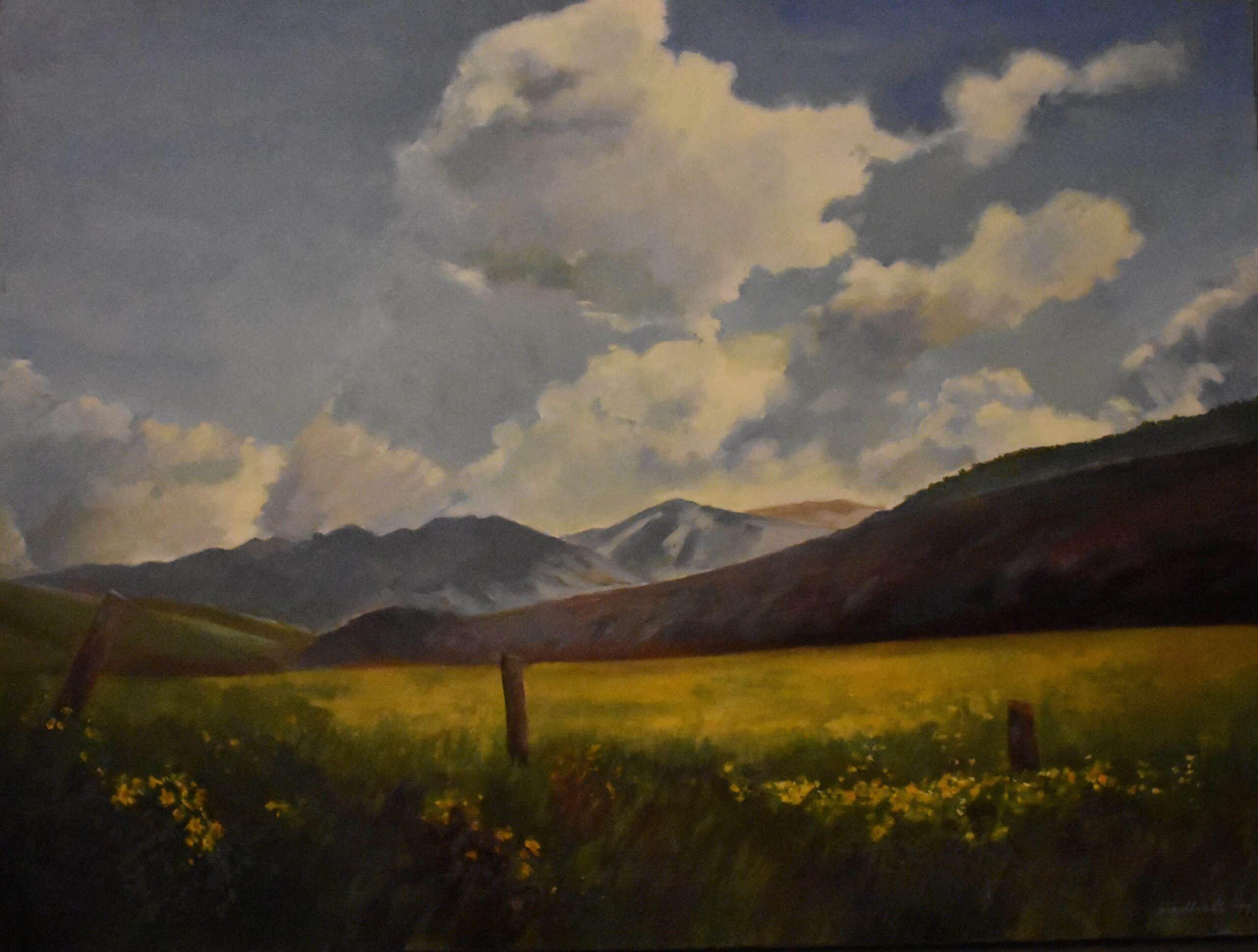 Mountain Meadows.jpg