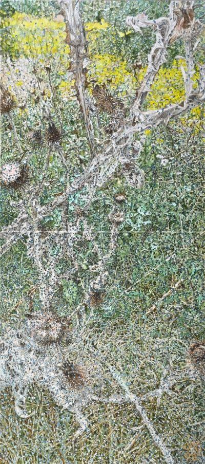 Nature 11.jpg