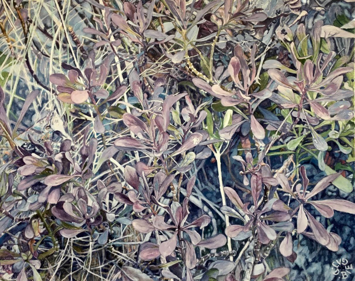 Nature Series XII.jpg