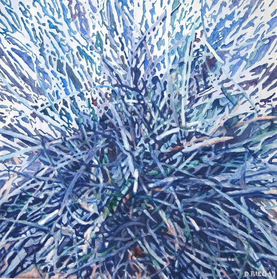 Nature series VII.jpg