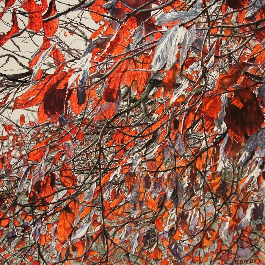 Nature series VI.jpg