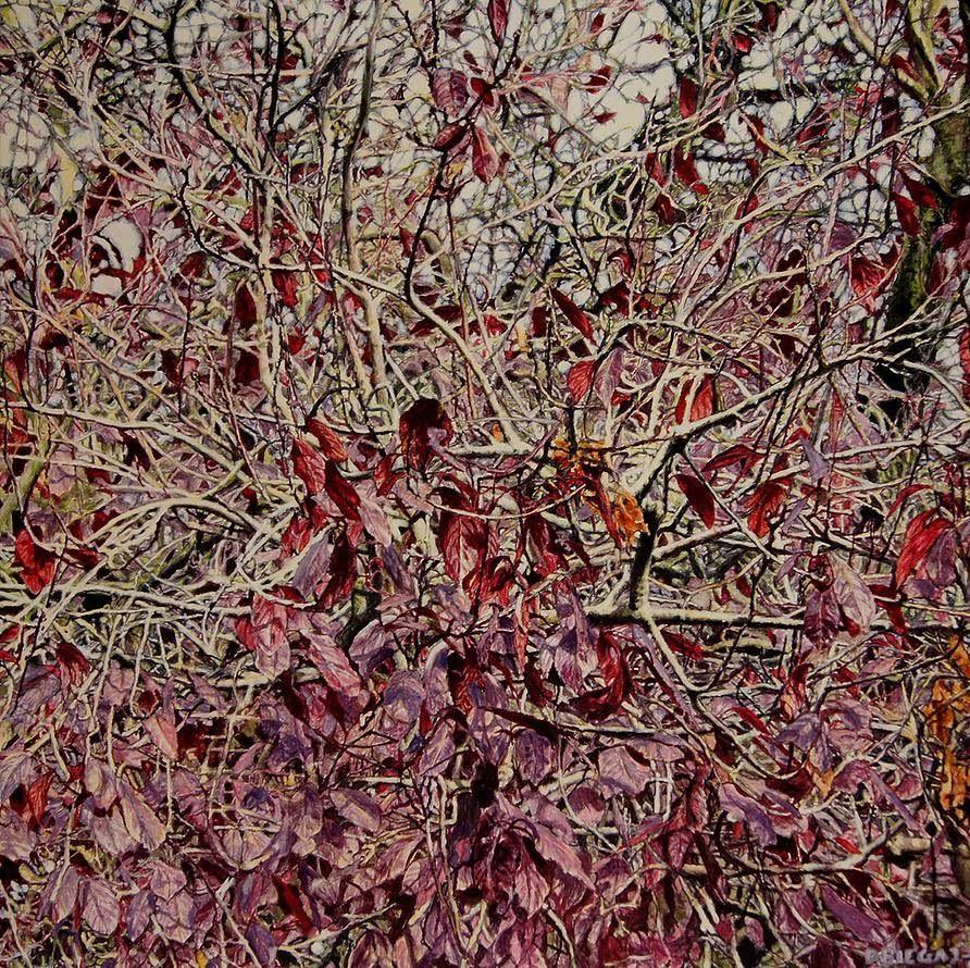Nature series V.jpg
