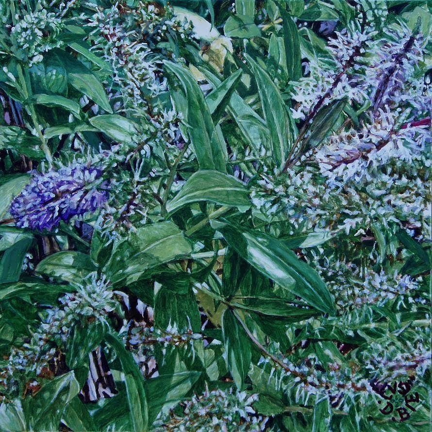 Nature series XI.jpg
