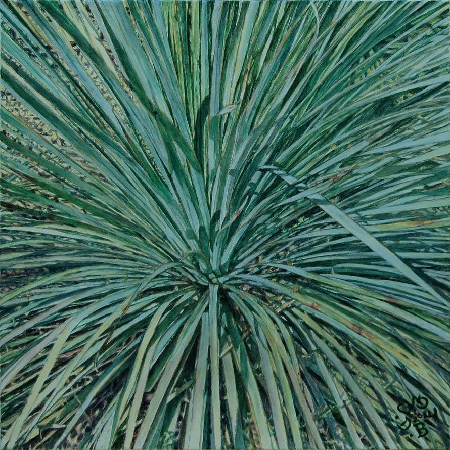Nature series X.jpeg