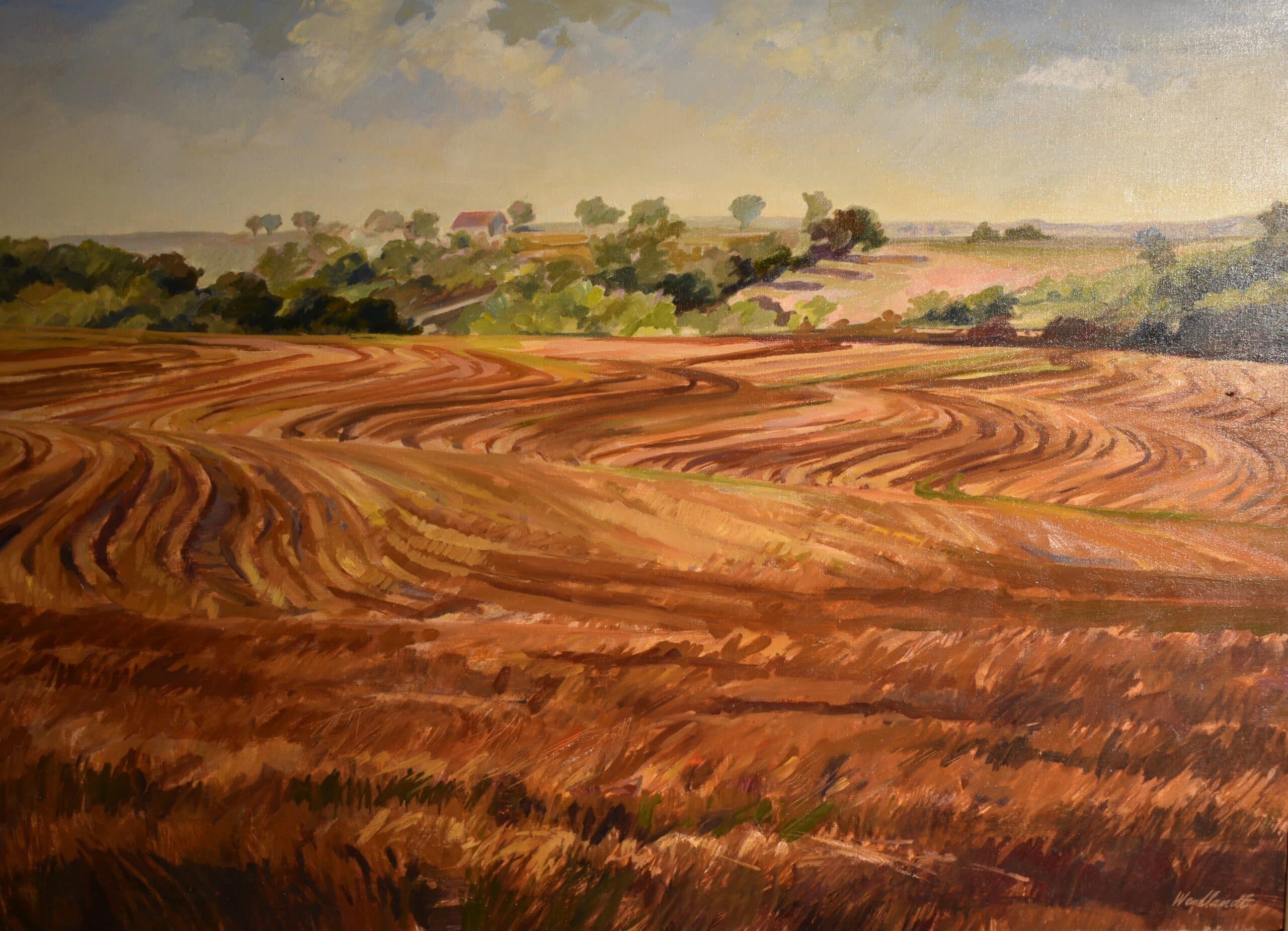Plowed Fields.jpg