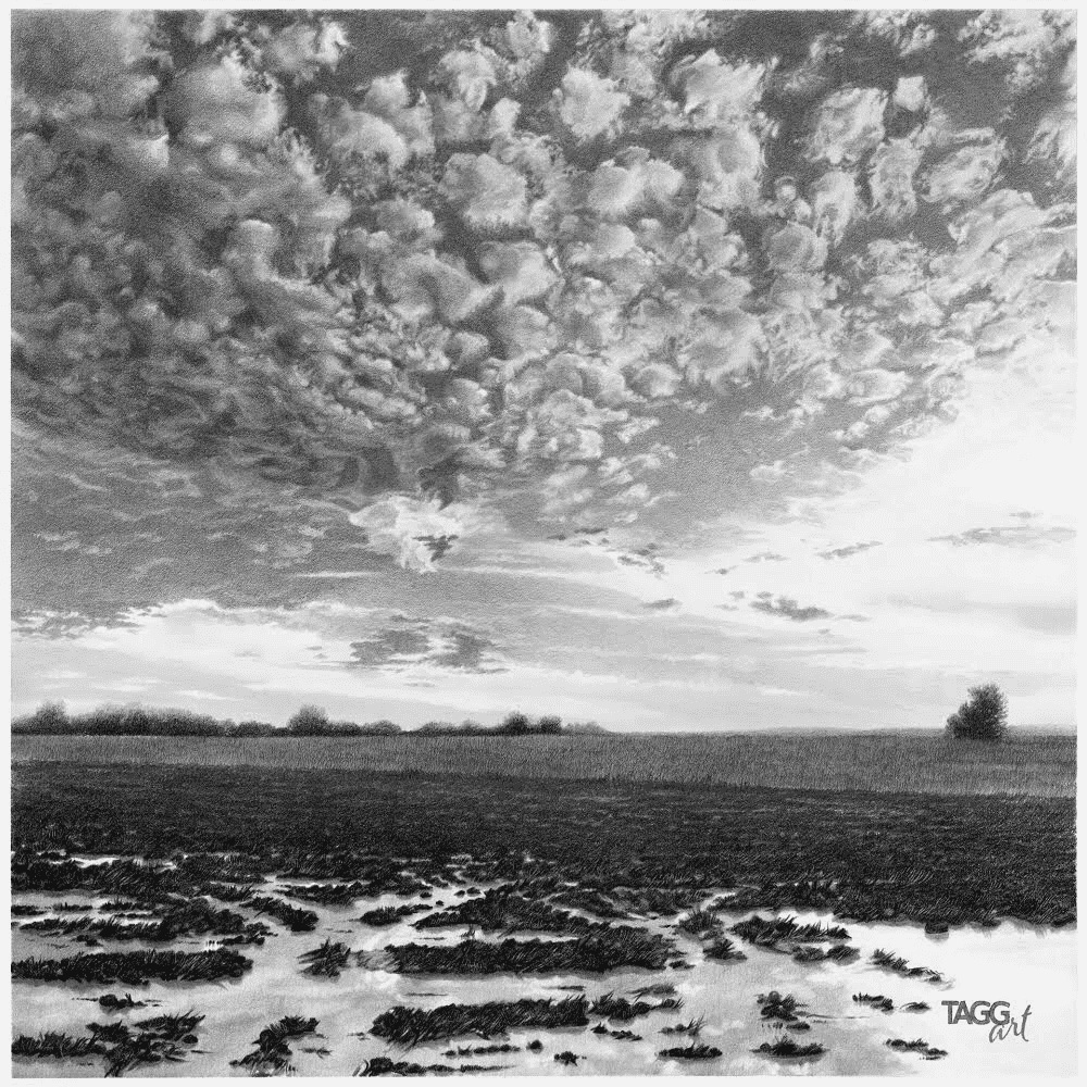 Sky Lauri - Prints.png