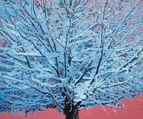 Snow Tree.jpg