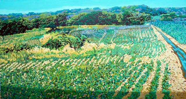 Verdant Fields.jpg